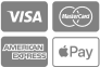 Payment method icon: Visa logo.